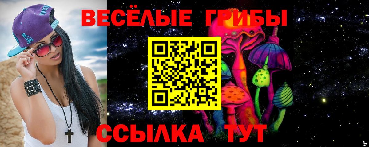 даркнет сайт  Псилоцибиновые грибы мухоморы  Вход с VPN  Кизилюрт 